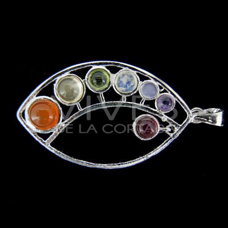 Colgante con minerales de los chakras (baño de plata)