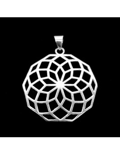 Pendentif plaqué argent -C43-