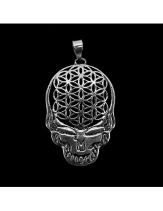 Colgante en Baño de Plata -C61-