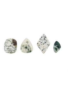 Agate Tree Cabochon (Pack 30gr)