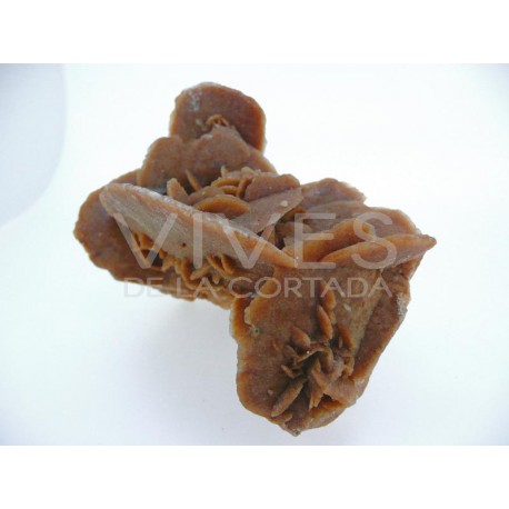 Biterminados naturales en cuarzo blanco calidad extra