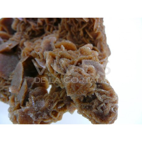 Biterminados naturales en cuarzo blanco calidad extra