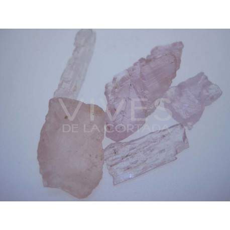 kuncita extra qualité