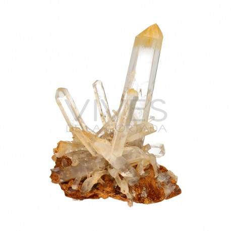 Halloysite druse (Quartz Mango) CM20