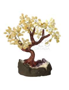 Árbol de Citrino Grande con Base de Drusa de Amatista