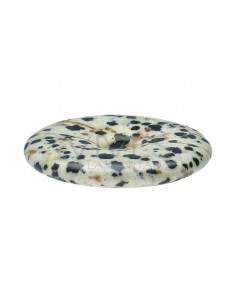 Dalmanite ou Jaspe... 2