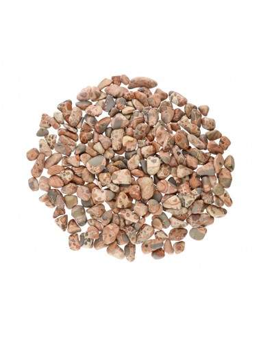 Rodados de Jaspe Leopardo T-1