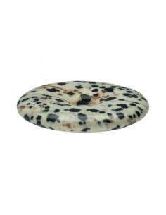 Dalmanite or Dalmatian... 2