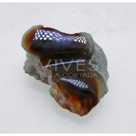Agate de feu brute semi-polie