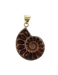 Colgante de Bronce Ammonite... 2