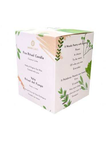 Coconut and Lime Candle with Tiger Eye