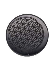 Placa Adhesiva Pequeña de...