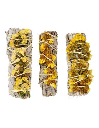 Salvia Blanca con Sinuata Amarilla