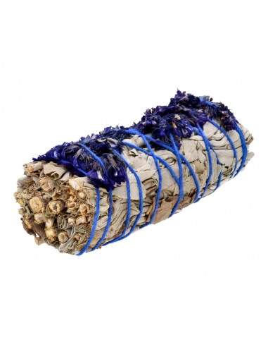 Sauge blanche avec Sinuata bleu
