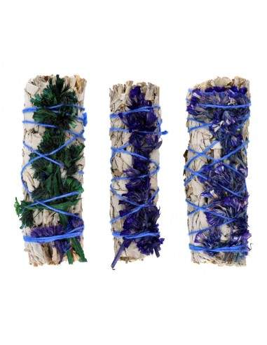 Salvia Blanca con Sinuata Azul