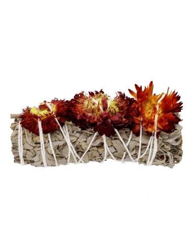 Salvia Blanca con Siempreviva