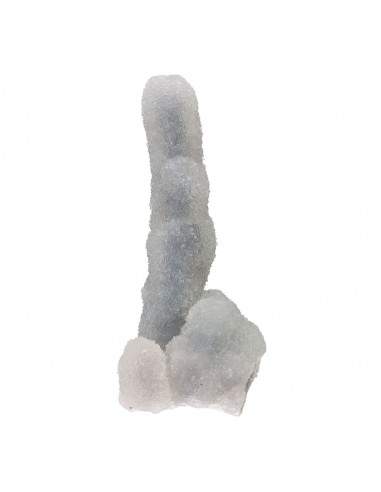 Flor de calcedónia (C)