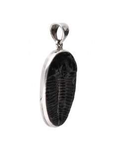 Pendentif Trilobite en... 2