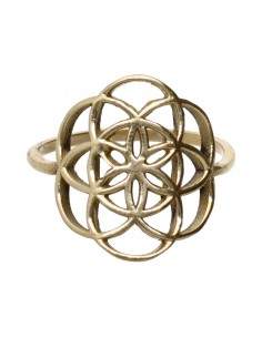 Anneau de bronze -47-