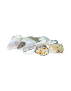 Rodados de Ópalo T-5