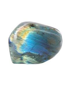 Labradorite polie (€/kg) 2