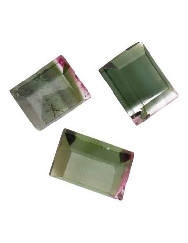 Faceted Bicolor Tourmaline cabochons...