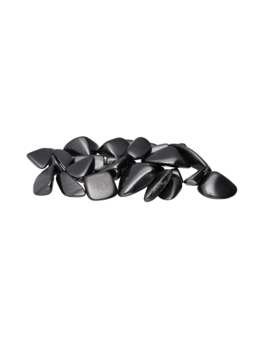 Shungite Shiny Shavings 3x4cm