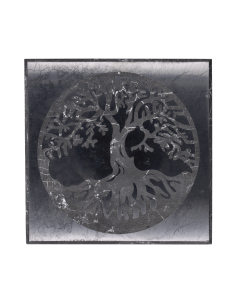 Placa polida da árvore da...