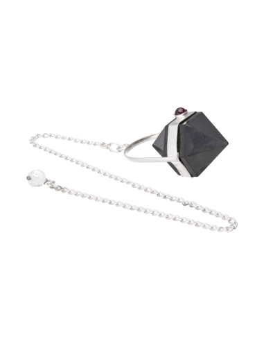Bitermined Shungite Pendulum with Garnet