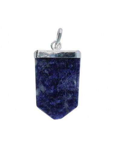 Arbre de vie en sodalite Pendentif...
