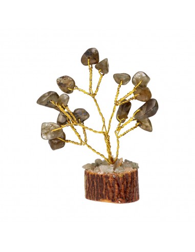 Conjunto de 12 mini árvores com minerais