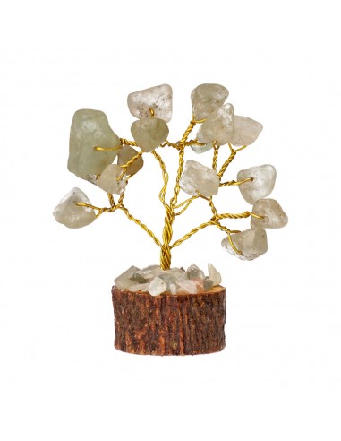 Pack de 12 Mini Árboles con Minerales