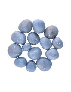 Rodados de Angelita 2