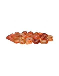Carnelian Rhodies 2x1,5cm