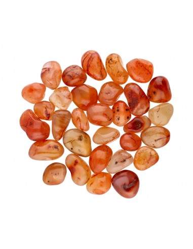 Carnelian Rhodies 2x1,5cm
