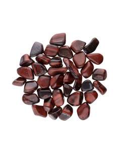 Rhodiole œil-de-bœuf 2x1cm 2