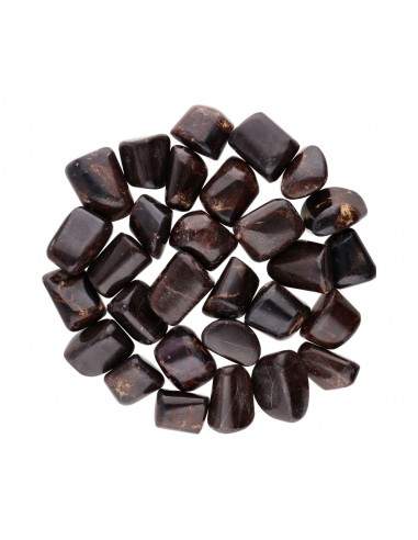 Rhodes pakistanaises en grenat