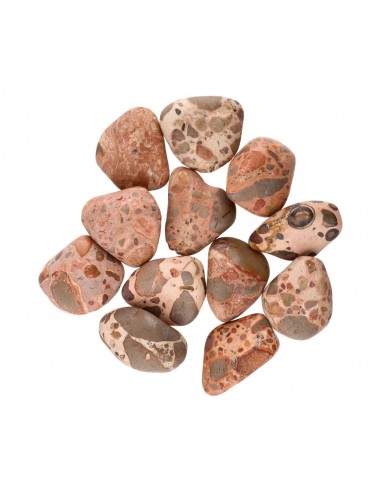 Leopardo Jasper Tumbled T5 (Pacote...