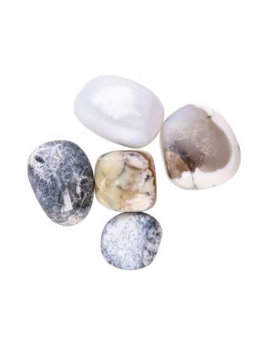 Rhodies turques en merlinite T-7