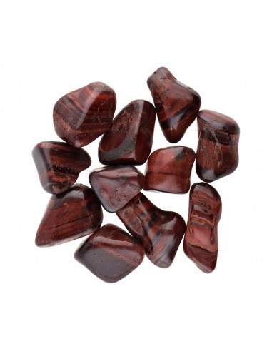 Rhodiola olho-de-boi 3x2cm