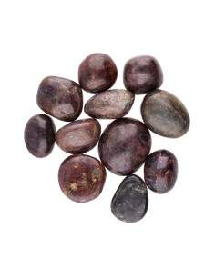 Les chevaux de Troie de Rubí 2