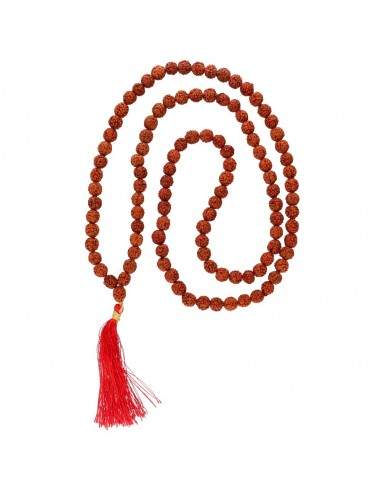 Mala con Semillas de Rudraksha