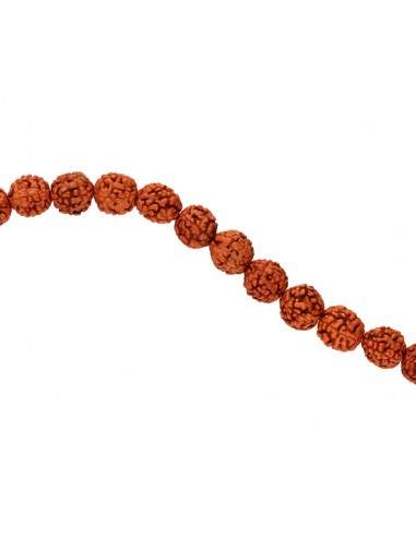 Mala avec graines de Rudraksha