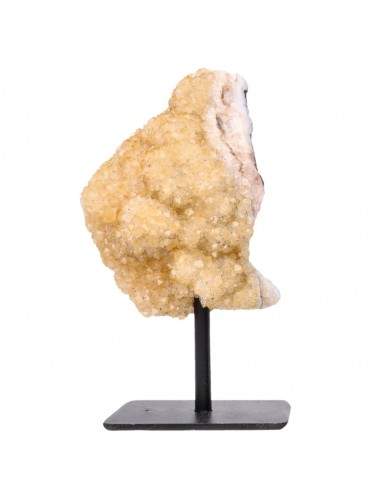 Base aquecida de citrinos