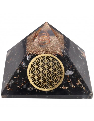 Resin Shungite Pyramid with Flower of...