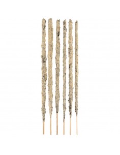 Sahumerio Botánico Nardo y... 2