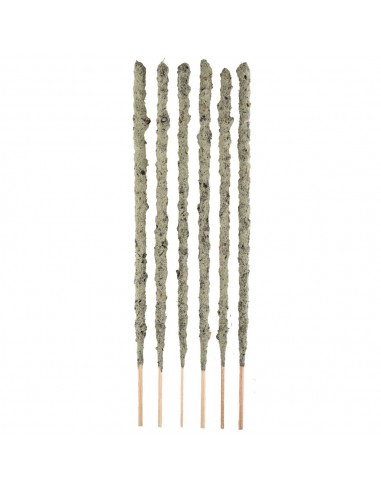 Fleur de Champa Thé vert Thé...