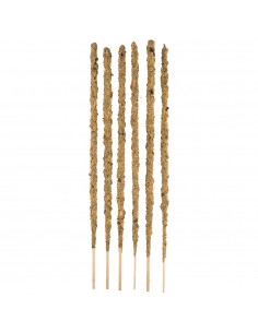 Gardenia botanique Marigold... 2