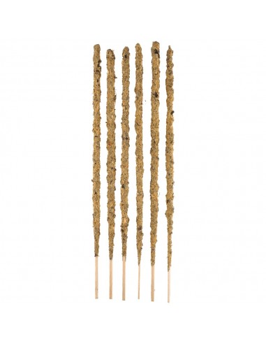 Gardenia botanique Marigold Sahumery...