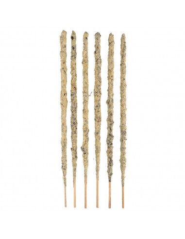 Botanical Scented Magnolias - Sacred...